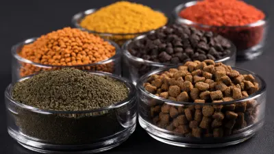 Top Examples of Innovative EFSA Feed Additives Enhancing Animal Nutrition