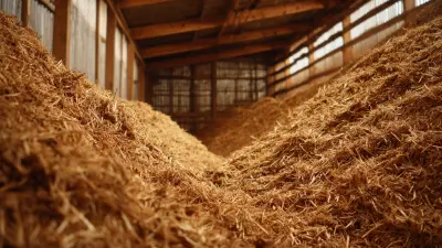 7 Essential Tips for Maximizing Your Silage Preservative Efficiency