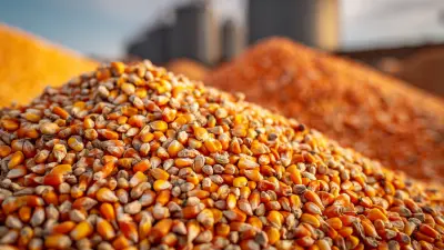 How to Navigate Import Certifications for the Best Deer Corn Additive on Global Markets